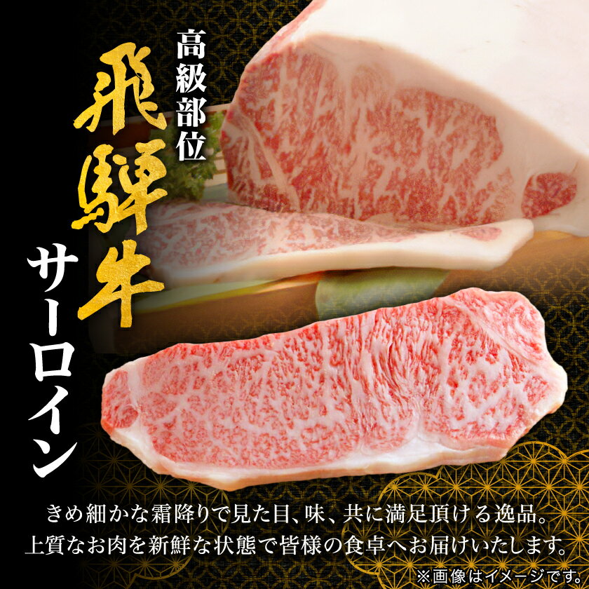 【ふるさと納税】【飛騨牛】サーロインステーキ 2枚入り 計約500g (250g×2枚) 岐阜県産 黒毛和牛_ 飛騨牛 牛肉 肉 黒毛和牛 国産牛 ブランド牛 霜降り サーロイン 牛 にく ニク 精肉 ステーキ 焼肉 贈答 ギフト プレゼント 冷凍 送料無料 【配送不可地域：離島】【1420282】