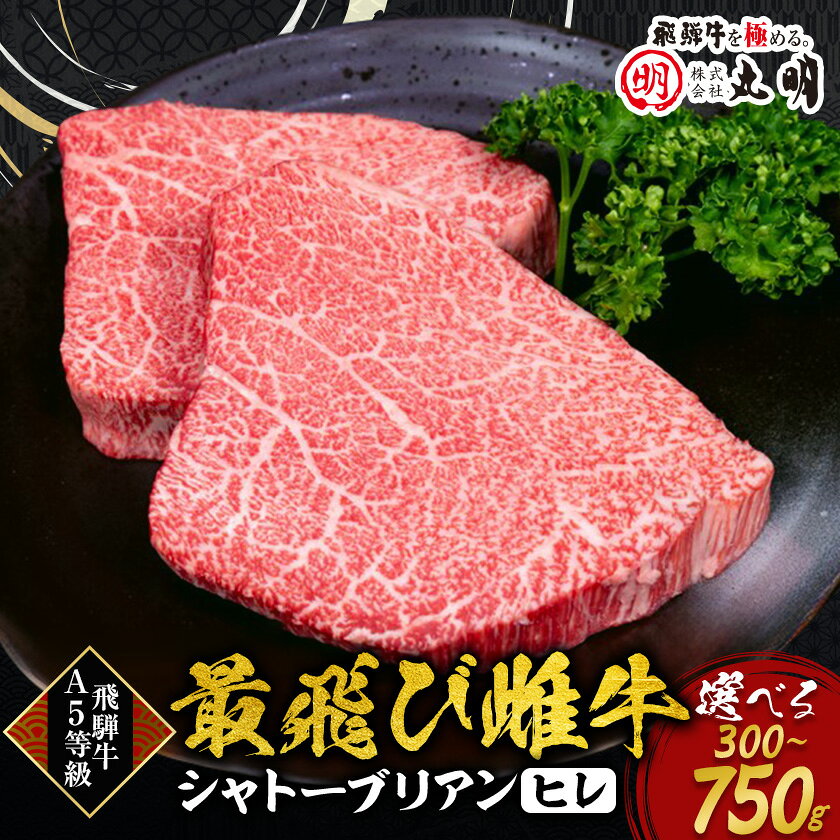 【ふるさと納税】【最飛び雌牛】飛騨牛A5等級シャトーブリアン(ヒレ)150g　2枚/3枚...