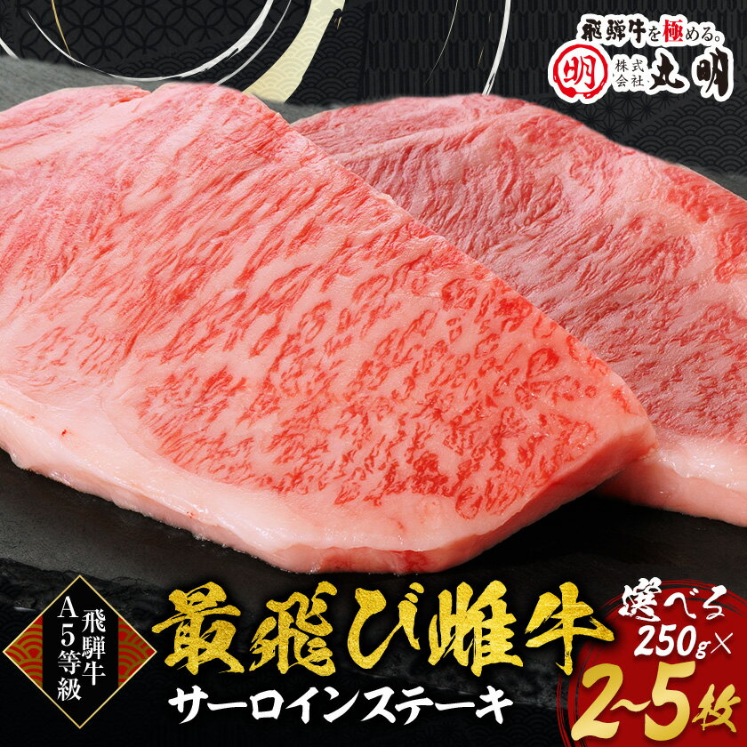 Other - 【ふるさと納税】【最飛び雌牛】飛騨牛A5等級サーロインステーキ　250g　2枚/3枚/4枚/5枚_ 肉 牛肉 飛騨牛 ブランド牛 ステーキ サーロインステーキ A5ランク 和牛 岐阜県 養老町 冷凍 送料無料 【配送不可地域：離島】【G1520149】