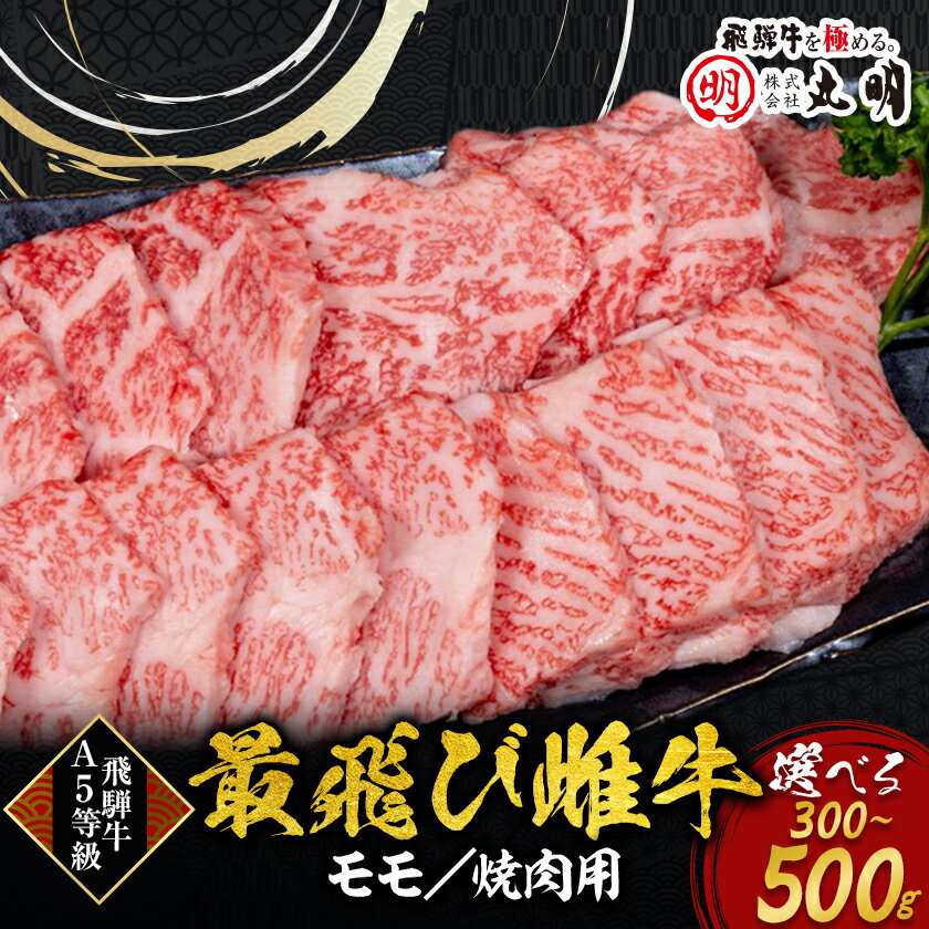 【最飛び雌牛】飛騨牛A5等級モモ焼き肉用　300g/400g/500g_ 肉 お肉 ブランド牛 和牛 飛騨牛 雌牛 A5 A5等級 牛モモ肉 やきにく 焼肉 焼肉用 牛脂付 岐阜県 養老町 冷凍 送料無料 【配送不可地域：離島】【G1520154】