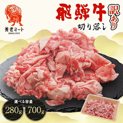【ふるさと納税】飛騨牛　切り落し　訳あり(280g/700g(350g×2盛りで小分け済))_ 肉 お肉 牛肉 ブランド牛 和牛 飛騨牛 訳あり 牛切り落とし 小分け 牛丼 肉じゃが 牛すき煮 炒め物 岐阜県 養老町 冷凍 送料無料 【配送不可地域：離島】【G1622911】