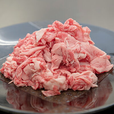 【ふるさと納税】飛騨牛　切り落し　訳あり(280g/700g(350g×2盛りで小分け済))_ 肉 お肉 牛肉 ブランド牛 和牛 飛騨牛 訳あり 牛切り落とし 小分け 牛丼 肉じゃが 牛すき煮 炒め物 岐阜県 養老町 冷凍 送料無料 【配送不可地域：離島】【G1622911】