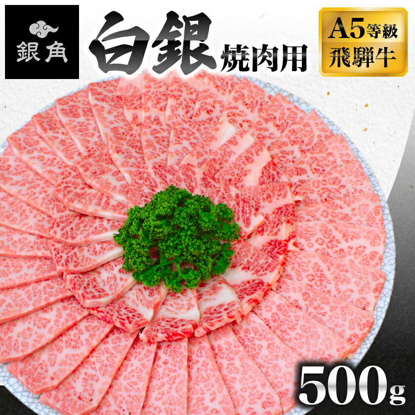 [飛騨牛]白銀焼肉用500g[配送不可地域:離島]