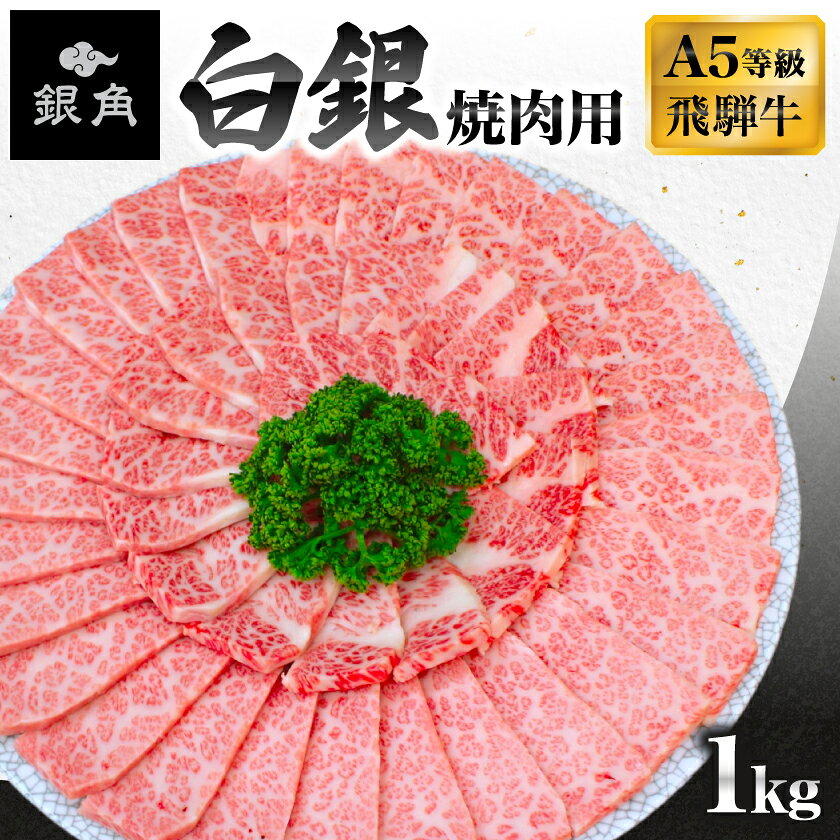 【飛騨牛】白銀焼肉用1kg_ 牛肉 肉 和牛 黒毛和牛 焼肉 人気お取り寄せ グルメ 冷凍牛肉 ブランド牛肉 バーベキュー 銀角 【配送不可地域：離島】【1766798】