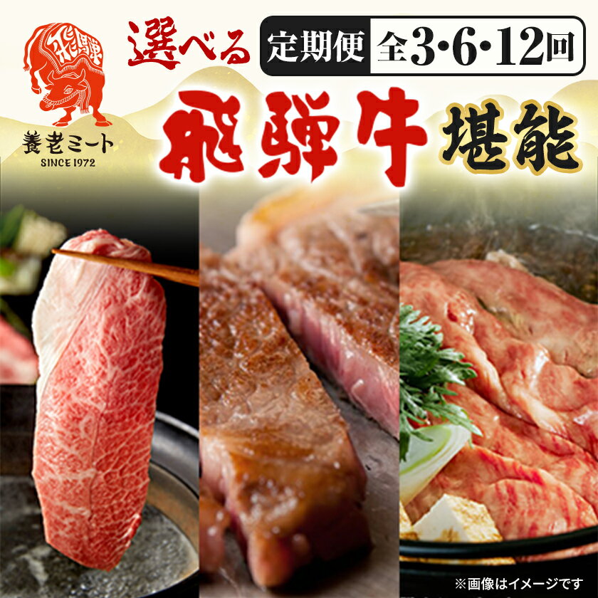 Rakuten - 【ふるさと納税】【毎月定期便】月替わりで色々な飛騨牛を楽しめる【3回・6回・12回】_ 牛肉 肉 飛騨牛 黒毛和牛 定期便 養老ミート 岐阜県 養老町 【配送不可地域：離島】【G4051413】