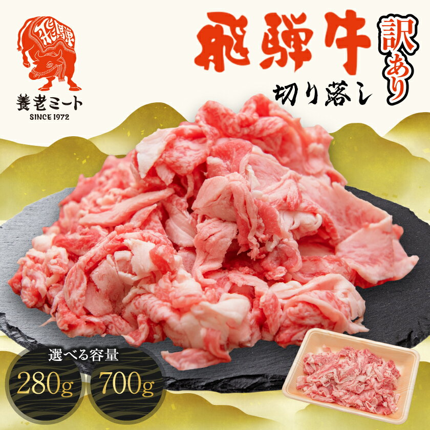 【ふるさと納税】飛騨牛　切り落し　訳あり(280g/700g(350g×2盛りで小分け済))_ 肉 お肉 牛肉 ブランド牛 和牛 飛騨牛 訳あり 牛切り落とし 小分け 牛丼 肉じゃが 牛すき煮 炒め物 岐阜県 養老町 冷凍 送料無料 【配送不可地域：離島】【G1622911】