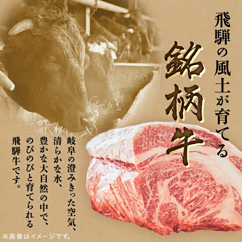 【ふるさと納税】飛騨牛　切り落し　訳あり(280g/700g(350g×2盛りで小分け済))_ 肉 お肉 牛肉 ブランド牛 和牛 飛騨牛 訳あり 牛切り落とし 小分け 牛丼 肉じゃが 牛すき煮 炒め物 岐阜県 養老町 冷凍 送料無料 【配送不可地域：離島】【G1622911】