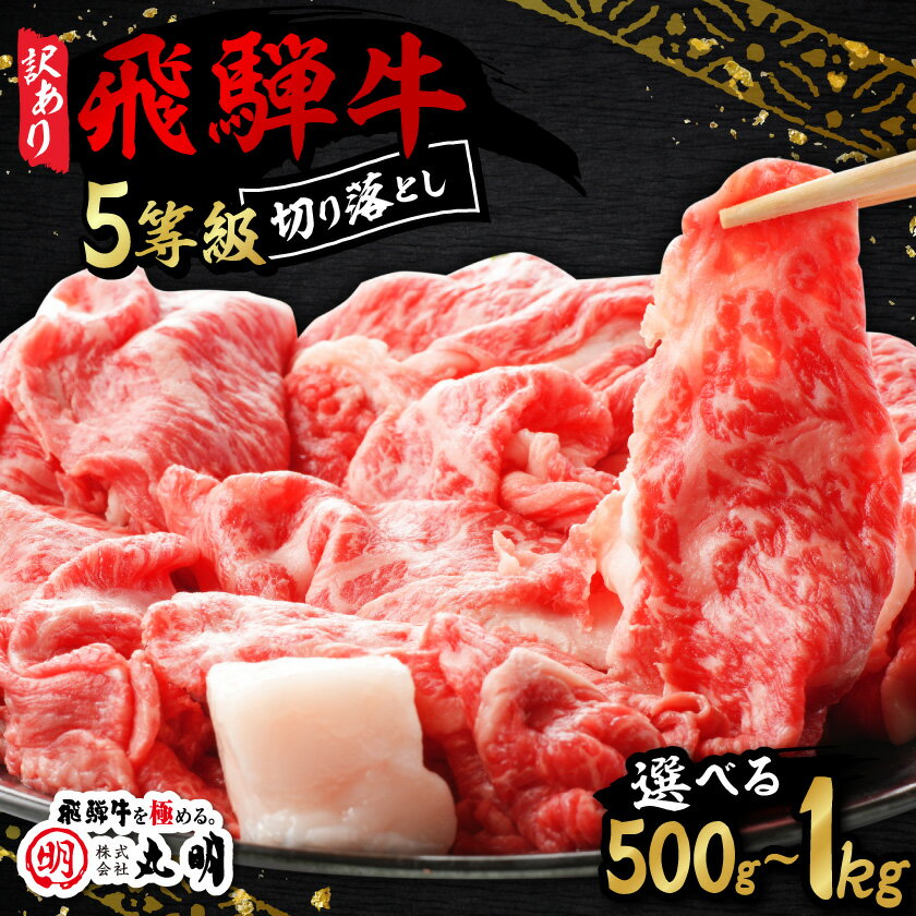 【ふるさと納税】【訳あり】飛騨牛5等級 切り落とし用途いろいろ[500g/800g/1kg]_ 飛騨牛 肉 5等級 牛肉 牛 にく ニク お肉 切り落とし 切り落し コマ切れ すきやき すき焼き しゃぶしゃぶ 牛丼 炒め物 国産 ギフト プレゼント 冷凍 【配送不可地域：離島】【G1034745】