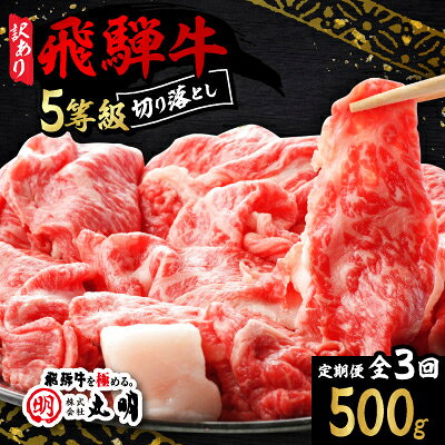 [毎月定期便][訳あり]飛騨牛5等級 切り落とし用途いろいろ 500g全3回[配送不可地域:離島]
