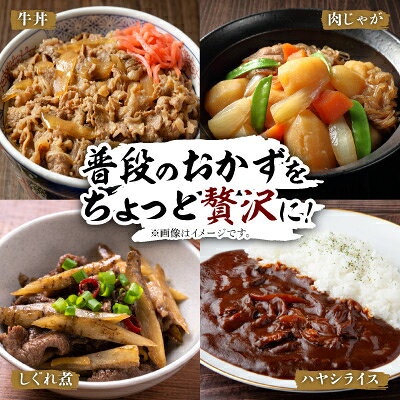 【ふるさと納税】【毎月定期便】【訳あり】飛騨牛5等級　切り落とし用途いろいろ　500g全3回【配送不可地域：離島】【4088467】