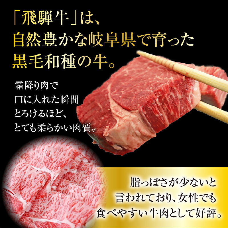 【ふるさと納税】＼選べる容量・回数／A5等級　飛騨牛ロース又は肩ロース　焼き肉用 f213616-tarui-10000908 岐阜県垂井町 サンプル画像2