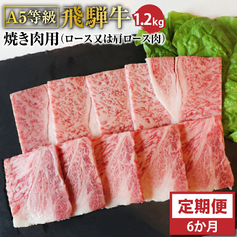 F-21 【6ヶ月定期便】A5等級飛騨牛焼き肉用1.2kg　ロース又は肩ロース肉