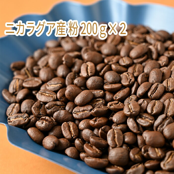 C-3 カフェ・フランドル厳選コーヒー豆　ニカラグア産(200g×2)挽いた豆