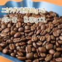 29位! 口コミ数「0件」評価「0」C-12 カフェ・フランドル厳選コーヒー豆 ニカラグア産(100g×2)ペルー産(100g×2)挽いた豆