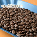 41位! 口コミ数「0件」評価「0」C-5 カフェ・フランドル厳選コーヒー豆　ペルー産(200g×2)