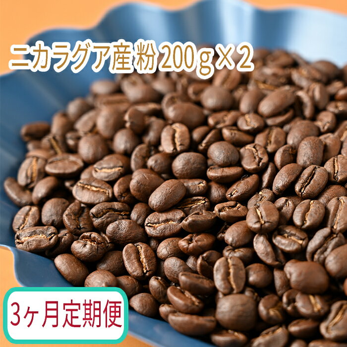 C-17カフェ・フランドル厳選　コーヒー豆　ニカラグア産(200g×2)挽いた豆