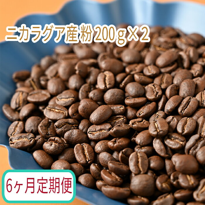 【ふるさと納税】C-31【6ヶ月定期便】カフェ・フランドル厳選　コーヒー豆　ニカラグア産(200g×2)挽いた豆