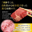 【ふるさと納税】AJ-16 【3か月定期便】【飛騨牛】ロースまたは肩ロース600g (焼肉・BBQ用) 2