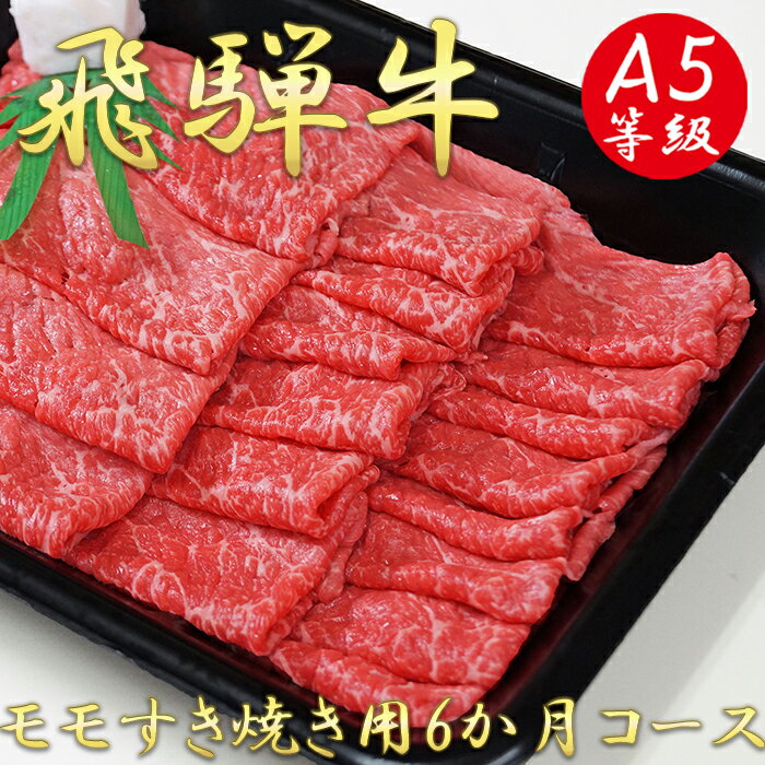 飛騨牛 【ふるさと納税】AB-21 A5飛騨牛モモすき焼き用6か月コース