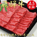 7位! 口コミ数「0件」評価「0」AB-33 A5飛騨牛モモすき焼き用12か月コース