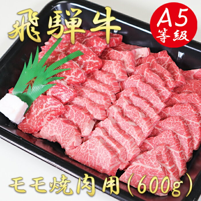 飛騨牛 【ふるさと納税】AB-37 A5飛騨牛モモ焼き肉用600g