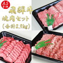 12位! 口コミ数「0件」評価「0」AB-46 A5飛騨牛焼き肉セット（合計2.9kg）