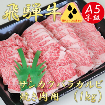 AB-42 A5飛騨牛サンカクバラカルビ焼き肉用1kg