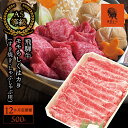 【ふるさと納税】AJ-15 【12か月定期便】【飛騨牛】モモもしくはカタ 500g (すき焼き・しゃぶしゃぶ用)