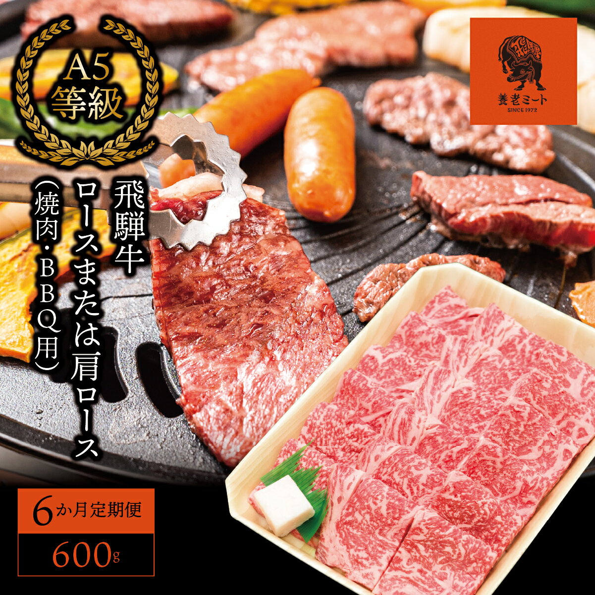 【ふるさと納税】AJ-17 【6か月定期便】【飛騨牛】ロースまたは肩ロース600g (焼肉・BBQ用)