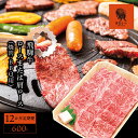 【ふるさと納税】AJ-18 【12か月定期便】【飛騨牛】ロースまたは肩ロース600g (焼肉・BBQ用)