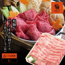 【ふるさと納税】AJ-29 【6か月定期便】【飛騨牛】ロースまたは肩ロース 1kg (すき焼き・しゃぶしゃぶ用)