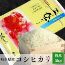【ふるさと納税】≪令和7年産≫【新米】 岐阜 コシヒカリ 5kg【単発便/定期便】