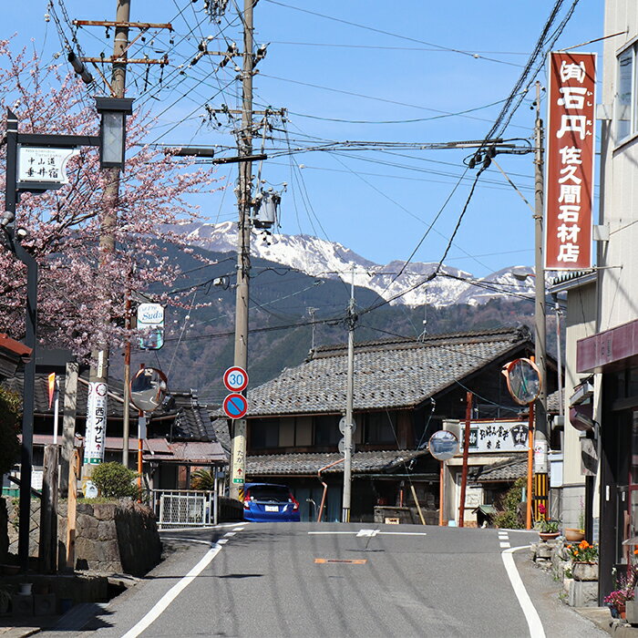 【ふるさと納税】AX-14 中山道宿場歩きツアー（3人）その2