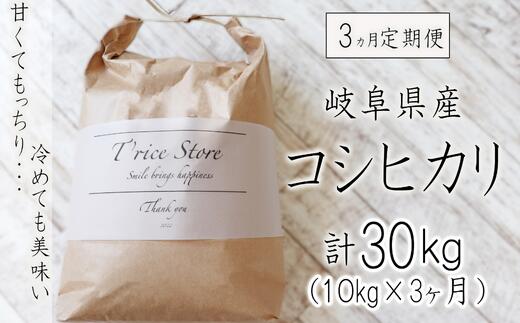 BE-15[3カ月定期便]岐阜県産コシヒカリ 10kg(合計30kg)