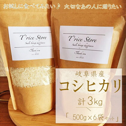 BE-11 T rice Store 岐阜県産 コシヒカリ 3kg 精米（500g×6袋）