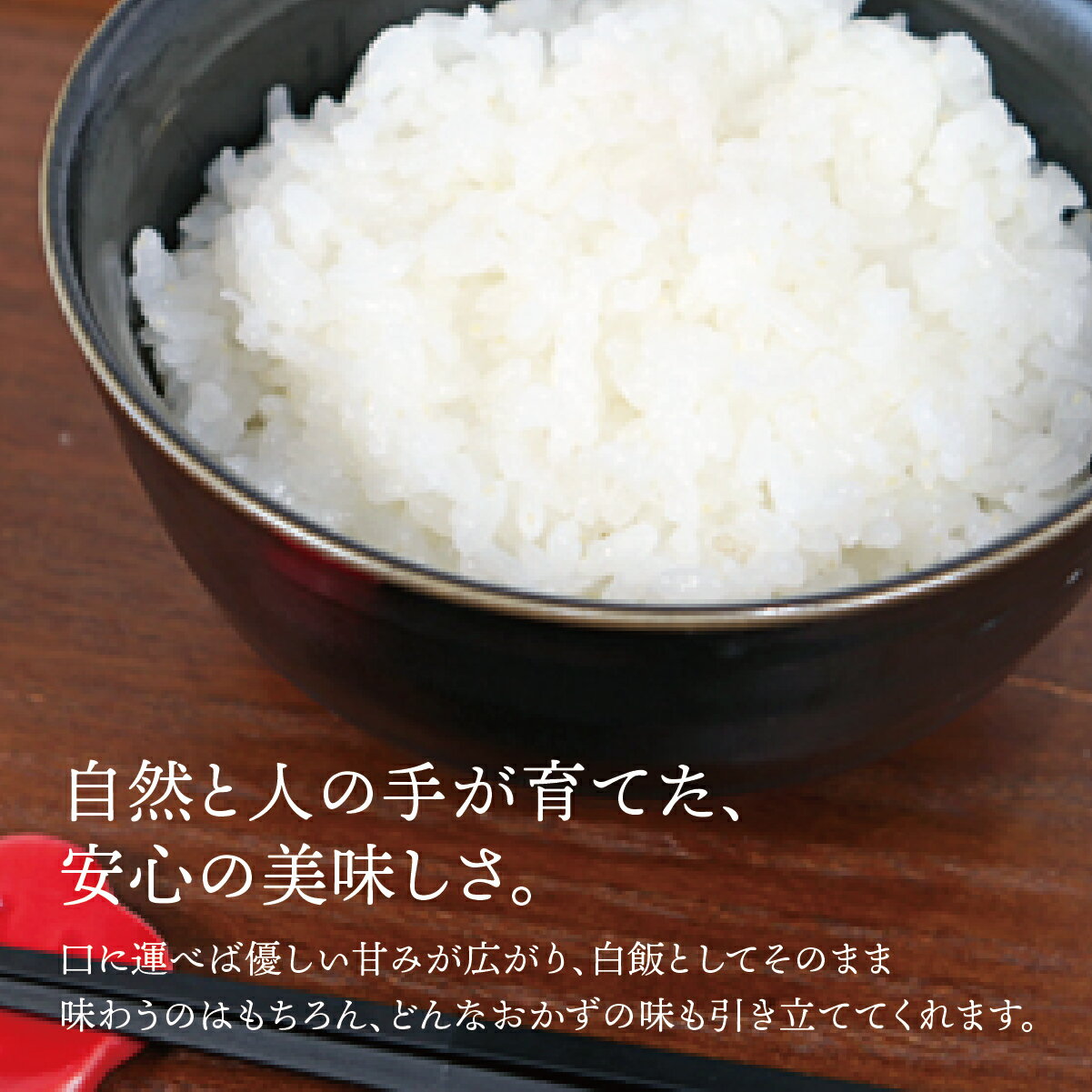 【ふるさと納税】【数量限定】《令和7年産》T rice Store 岐阜県産 コシヒカリ 5kg 玄米 | 垂井町産 米 こめ お米 玄米 冷めても美味しい米 ブランド米 高品質 安心 安全 リピーター多数 贈答用 贈り物 ギフト プレゼント おしゃれ 人気