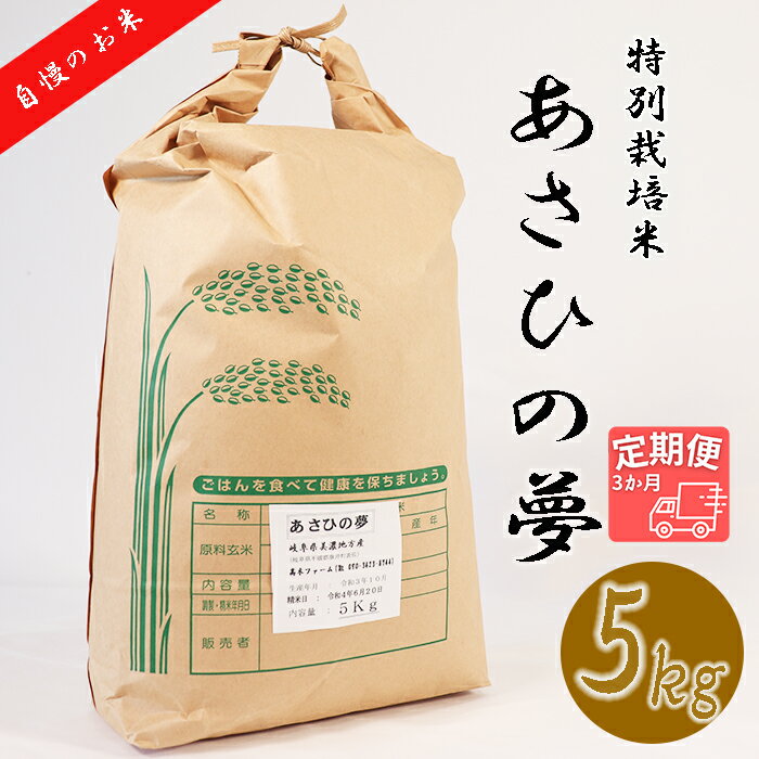 【ふるさと納税】BI-8 【3か月定期便】垂井町産あさひの夢(5kg×3回）