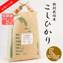 【ふるさと納税】BI-19 【6か月定期便】【特別栽培米】≪令和5年産新米≫垂井町産コシヒカリ(5kg×6回）