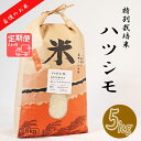 人気ランキング第29位「岐阜県垂井町」口コミ数「0件」評価「0」BI-14 【6か月定期便】【特別栽培米】垂井町産ハツシモ(5kg×6回）