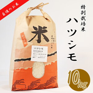 【ふるさと納税】BI-12 【特別栽培米】垂井町産ハツシモ10kg