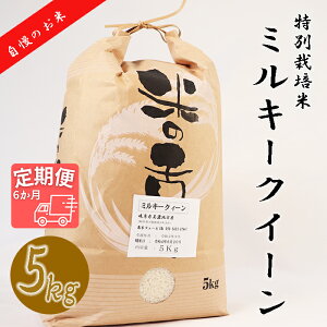 【ふるさと納税】BI-24 【6か月定期便】【特別栽培米】≪令和5年産新米≫垂井町産ミルキークイーン(5kg×6回）