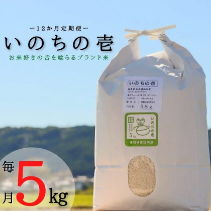 BI-35 【12か月定期便】【特別栽培米】≪令和5年産新米≫垂井町産いのちの壱(5kg×12回）