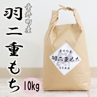 【ふるさと納税】AO-5≪令和5年産新米≫ 岐阜県産羽二重もち10kg（5kg×2）