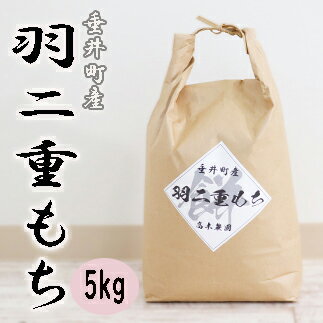 AO-4 ≪令和5年産新米≫岐阜県産羽二重もち5kg