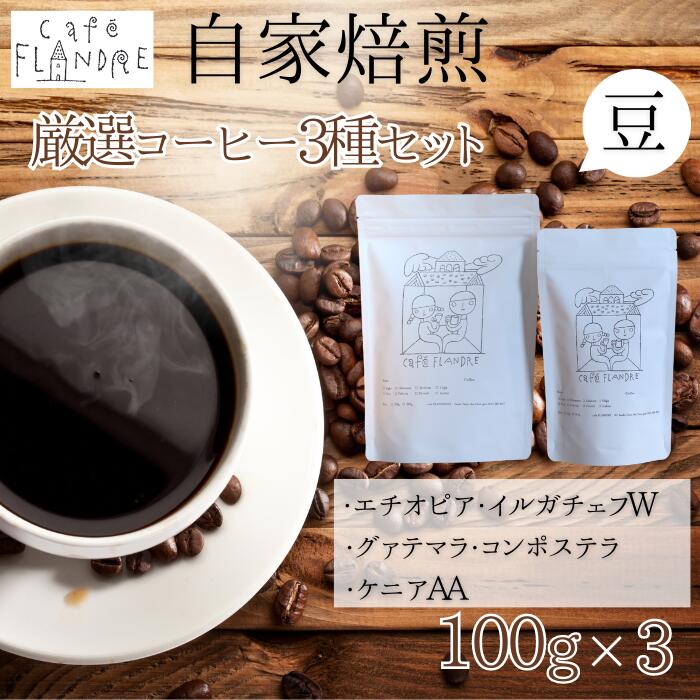 [自家焙煎]カフェ・フランドル厳選コーヒー3種セット(100g×3・豆)