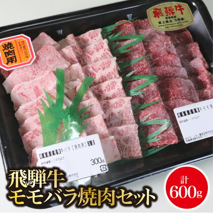 AB-50　A5飛騨牛　モモバラ焼肉セット計600g