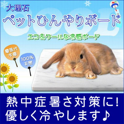 【ふるさと納税】うさぎひんやり大理石マット 30×20センチ イタリア産 ビアンコカラーラ【1287890】