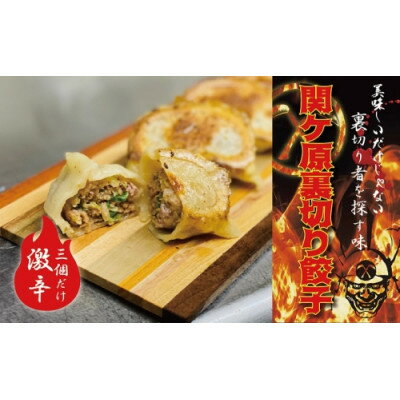 名称 【関ケ原産ふわりもち使用】関ケ原裏切り餃子(激辛)【白餃子50個のうち、激辛3個入り】 保存方法 冷凍 発送時期 2024年6月より順次発送※生産・天候・交通等の事情により遅れる場合があります。 提供元 岐阜夢餃子製作所　清太麺房　関...