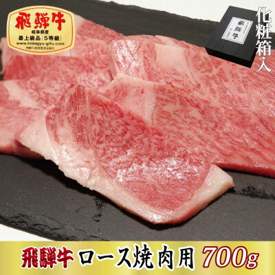 【化粧箱入り・最高級A5等級】飛騨牛ロース焼肉用700g(牛脂付き)【配送不可地域：離島】【1488416】