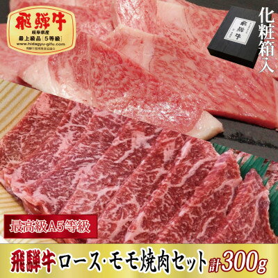 [化粧箱入り・最高級A5等級]飛騨牛ロース・モモ焼肉セット計300g(牛脂付き)[配送不可地域:離島]